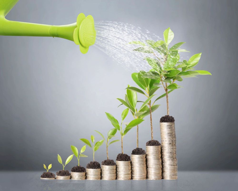 Plants growing from stacks of coins