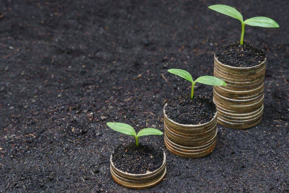 Seedlings growing from stacks of coins